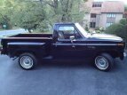 Thumbnail Photo 16 for 1981 Ford F100